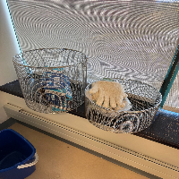 Hirayama HVA-110 Autoclave image 1